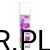 4b2ab5788d2bbb5c0c7cb1fb15313e75