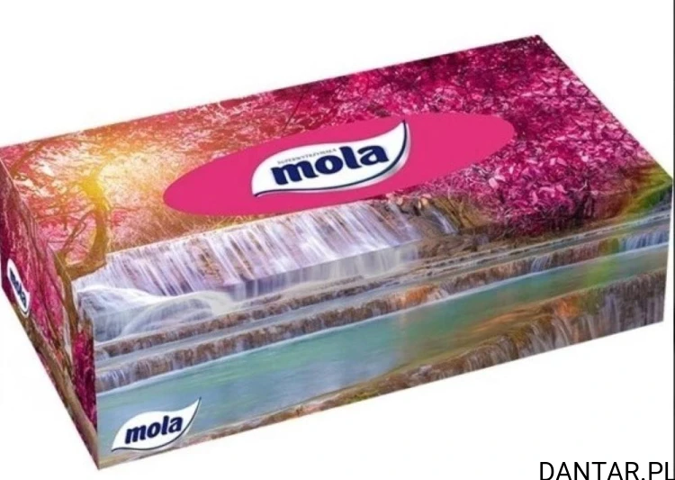 Chusteczki kartonik mola a120/28