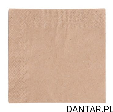 Serwetki 2-warstwowe kraft 33x33 Aha a250/8 