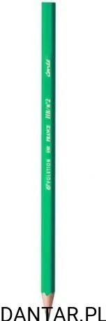 Ołówek evolution HB 650 BIC a1/12