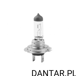 Żarówka samochodowa 12V H7 55W HAL