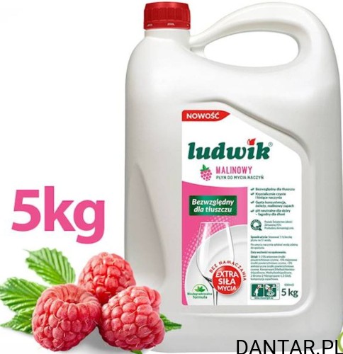 Ludwik 5L płyn do naczyń malina a1