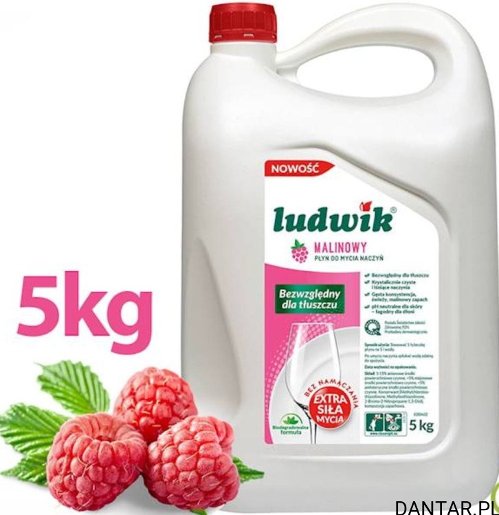 Ludwik 5L płyn do naczyń malina a1
