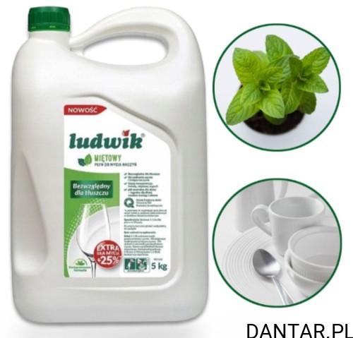Ludwik 5L płyn do naczyń mięta a1/114