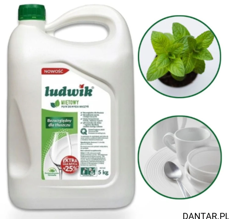 Ludwik 5L płyn do naczyń mięta a1/114