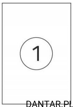 Etykieta samoprzylepna A4 [1] 210x297 a100/10 