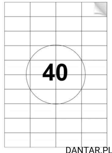 Etykieta samoprzylepna A4 52,5x29,6 a100/10 dziel. 40