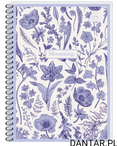 Kołozeszyt B5 kratka INTERDRUK 160K a1/2