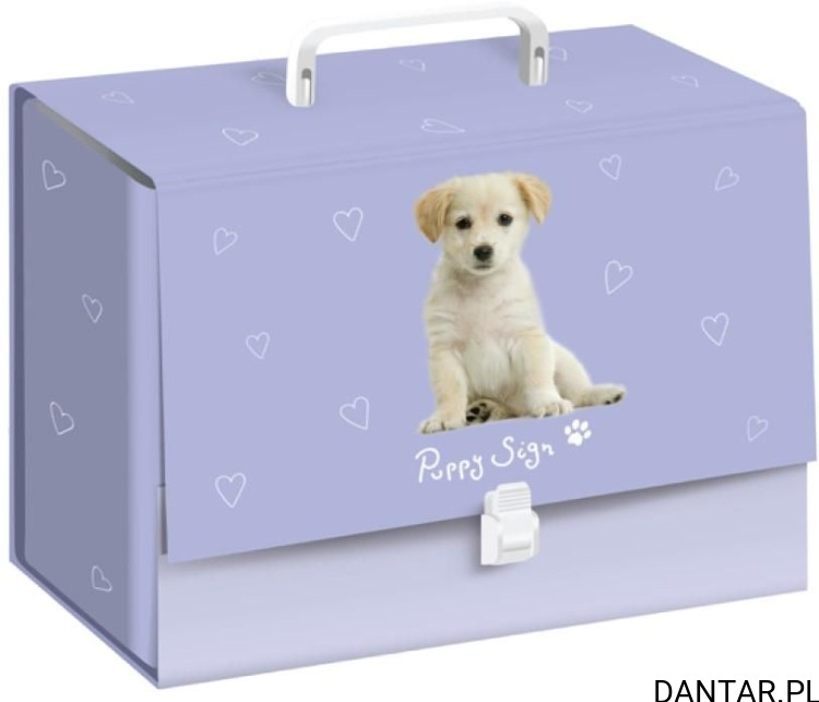 Teczka z rączką puppy fioletowa A4 box interdruk a1