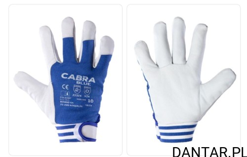 Rękawice monterskie ze skóry koziej rozmiar 9 Cabra Blue a1/12