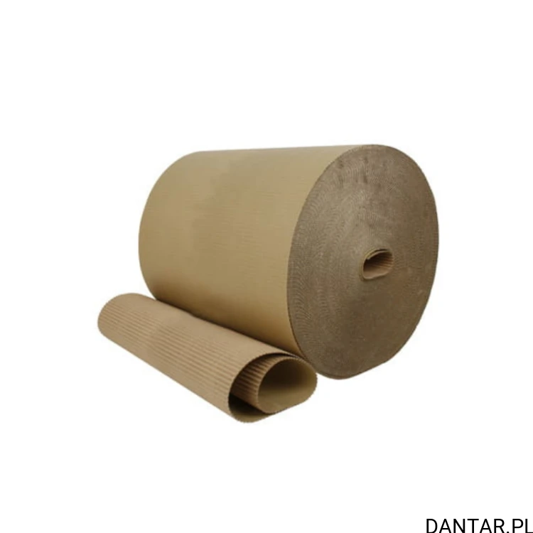 Tektura falista 2-w 100cm x 100mb 