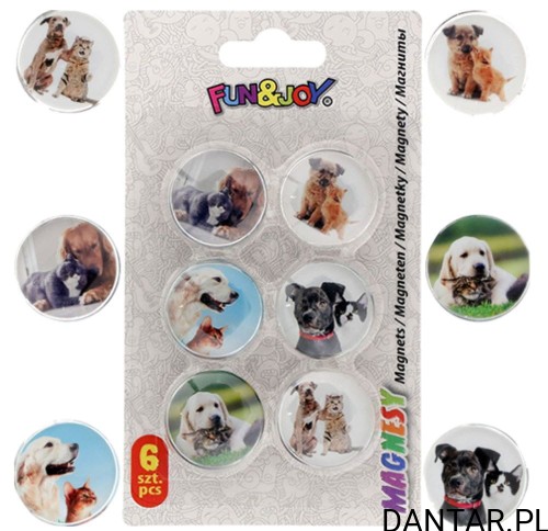 Magnesy do tablic szkolnych 30mm psy i koty Fun&Joy a6