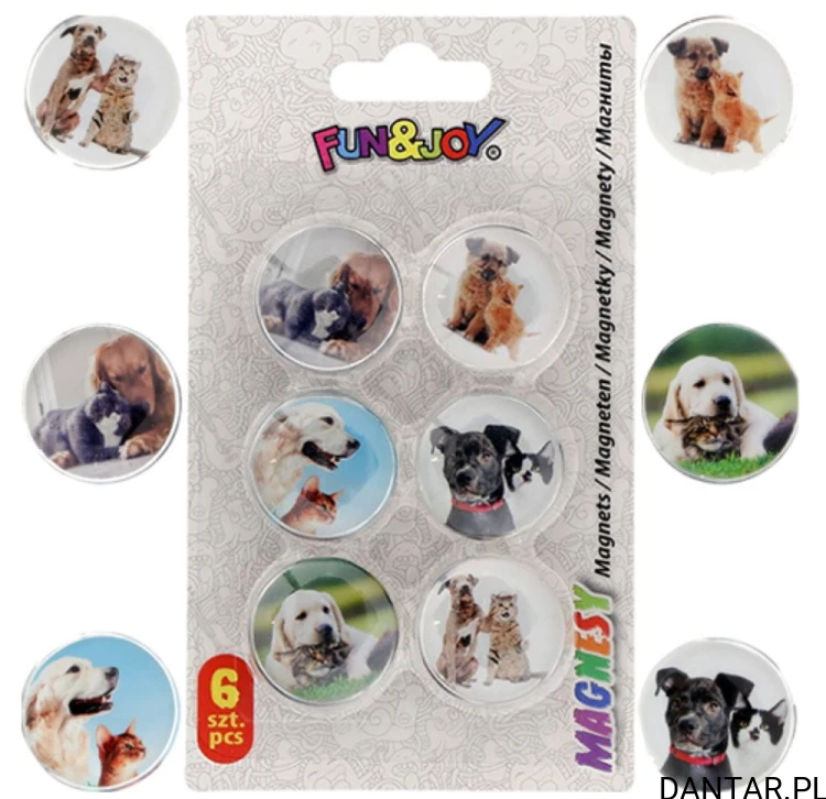 Magnesy do tablic szkolnych 30mm psy i koty Fun&Joy a6