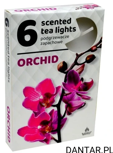 Podgrzewacze zapachowe orchidea a6 Admit 321