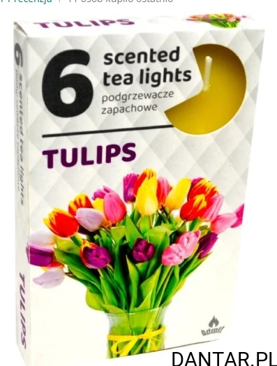 Podgrzewacze zapachowe tulipan a6 Admit 306