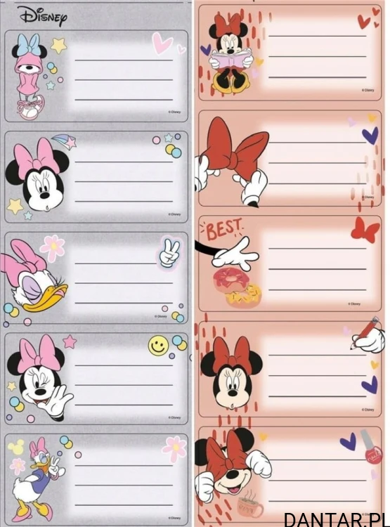 Naklejki na zeszyt dla dziewczyny minnie mouse Beniamin a10
