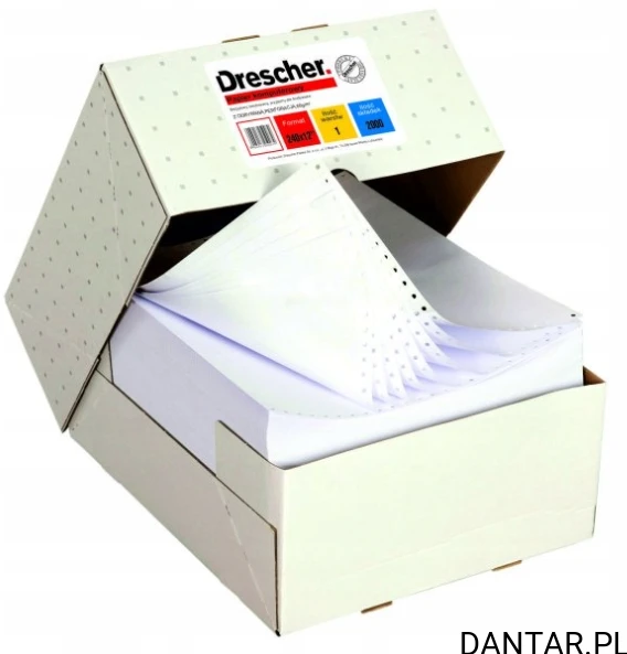 Papier komputerowy 240 1+2 N Drescher