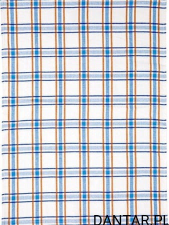 Ścierka kuchenna bawełnia 45x65 /10