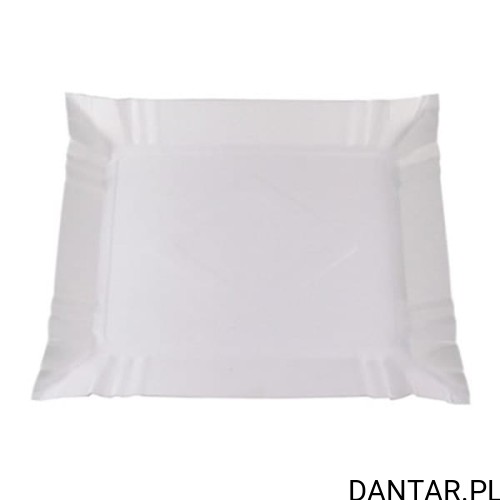 Tacka papierowa 20X25 a100 ABC-PAK