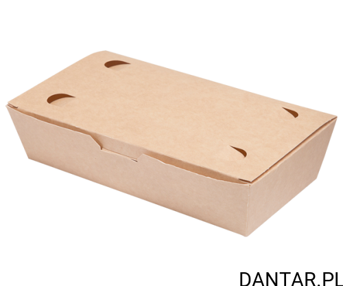 Food Box 20x10x5 ABC-PAK a100/4