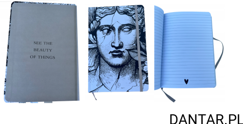 Zeszyt brulion A5 linia 96k twarda a1/6 874896