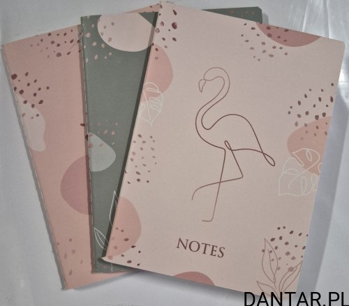 Notes a6 a3 2x linia +1 kratka