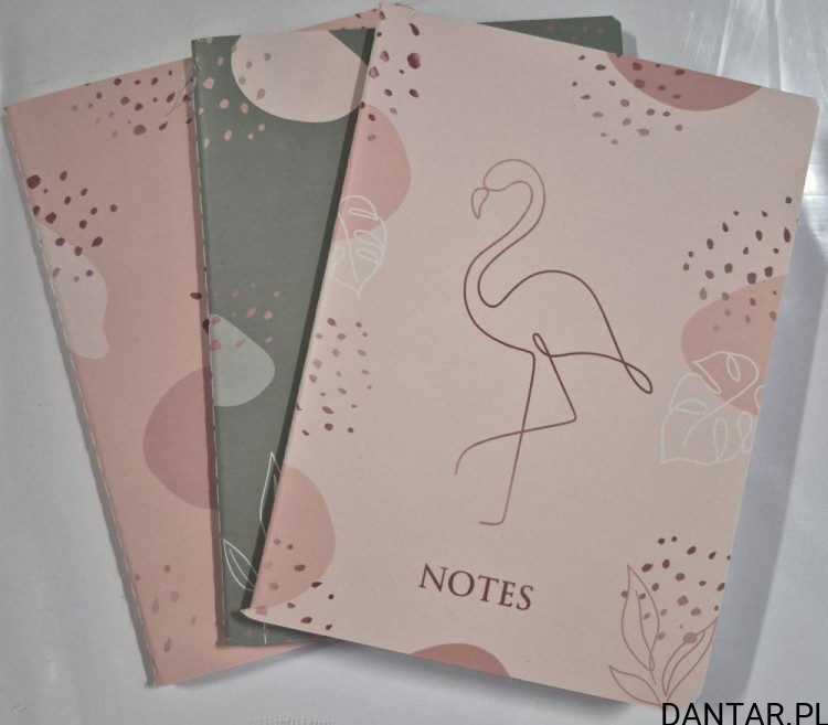 Notes a6 a3 2x linia +1 kratka