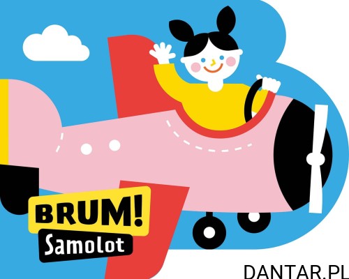 Książka Brum! Samolot