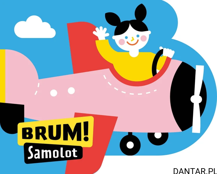 Książka Brum! Samolot