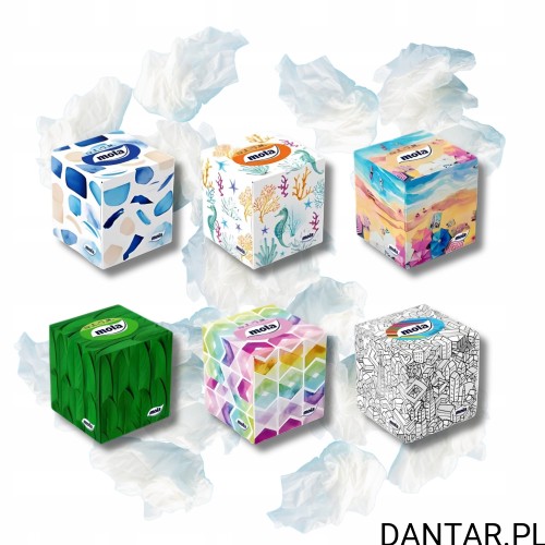 Chusteczki kartonik Mola a58/24 