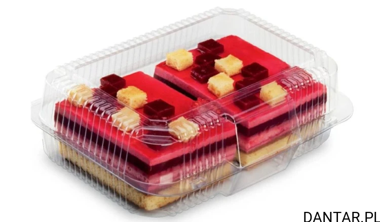 Pojemnik 2090 PETC  310x300x66 a1/25/100