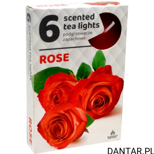 Podgrzewacze zapachowe rose a6 Admit 324