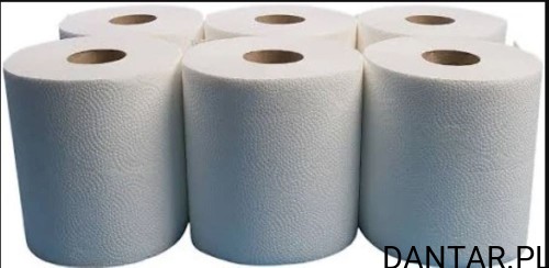 Ręcznik papierowy 2w R120 celuloza supermatic a1/6/300 RC12040