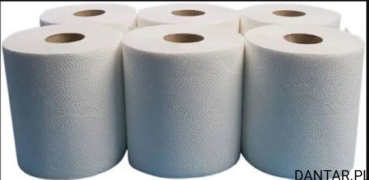 Ręcznik papierowy 2w R120 celuloza supermatic a1/6/300 RC12040