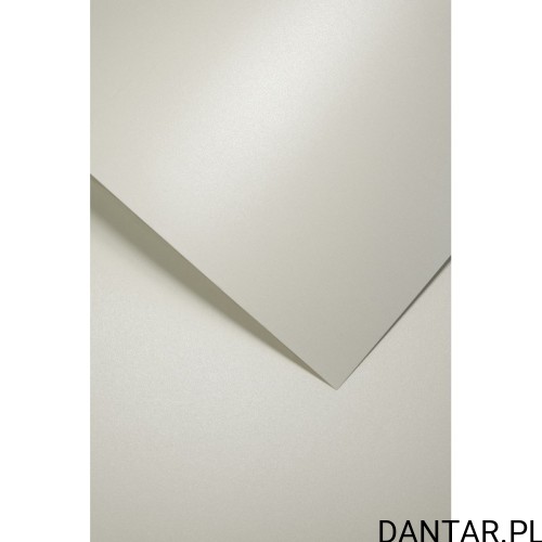 Karton ozdobny A4 millenium biały 220g Galeria Papieru a20 