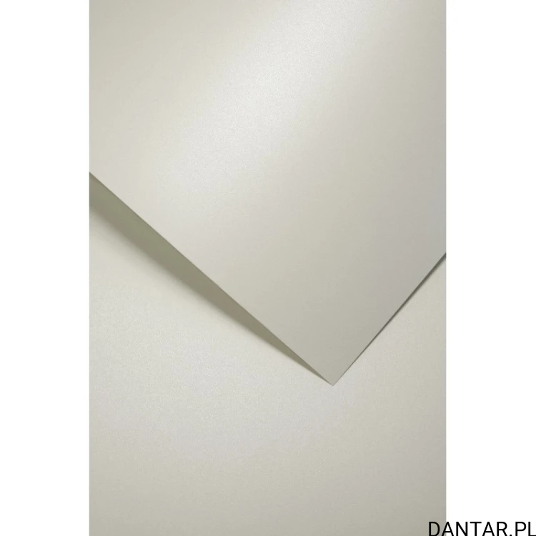 Karton ozdobny A4 millenium biały 220g Galeria Papieru a20 