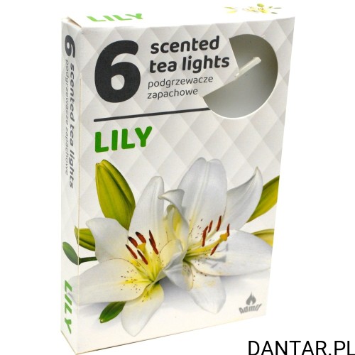 Podgrzewacze zapachowe lilia a6 Admit 253