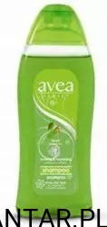 Szampon Avea 300ml brzoza a1/14