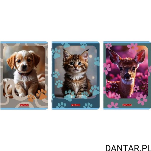 Zeszyt Herlitz Standard Animals A4, 32 kartki, kolorowa podwójna linia