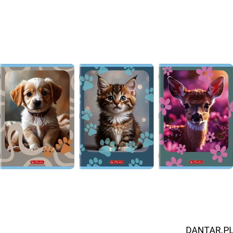 Zeszyt Herlitz Standard Animals A4, 32 kartki, kolorowa podwójna linia