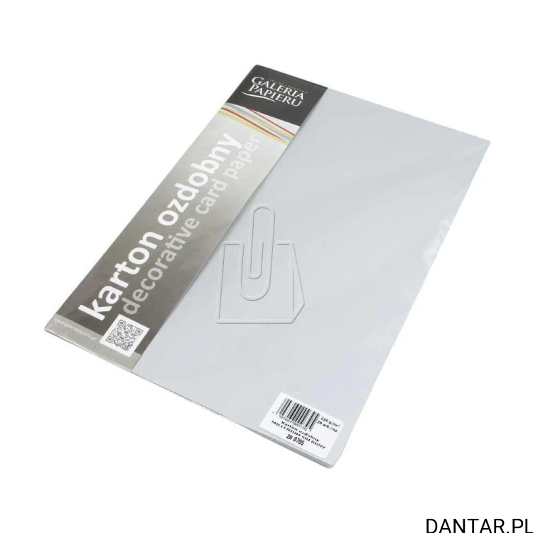 Jedno opakowanie kartonu Galeria Papieru Millenium srebrny A4, 220 g/m², 20 arkuszy.