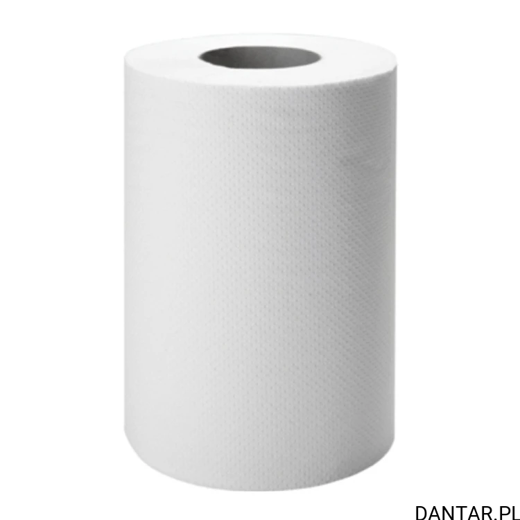 Ręcznik papierowy mini DANTAR R240 celuloza a1/12