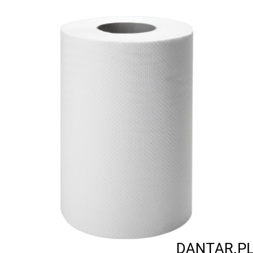 Ręcznik papierowy mini DANTAR R240 celuloza a1/12