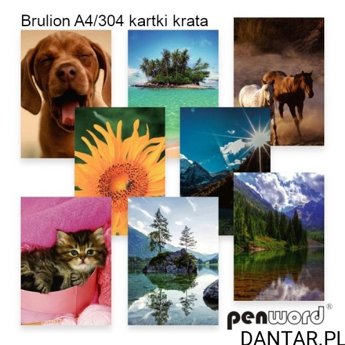 Przykładowe wzory okładek brulionu Penword A4 304 kartki w kratkę, mix wzorów