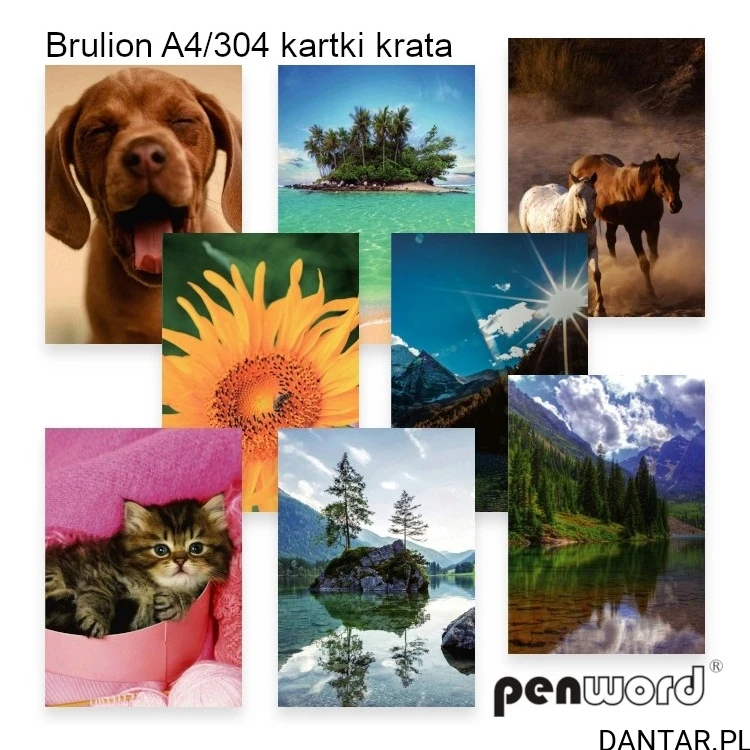 Przykładowe wzory okładek brulionu Penword A4 304 kartki w kratkę, mix wzorów
